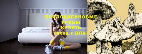 скорость Алзамай